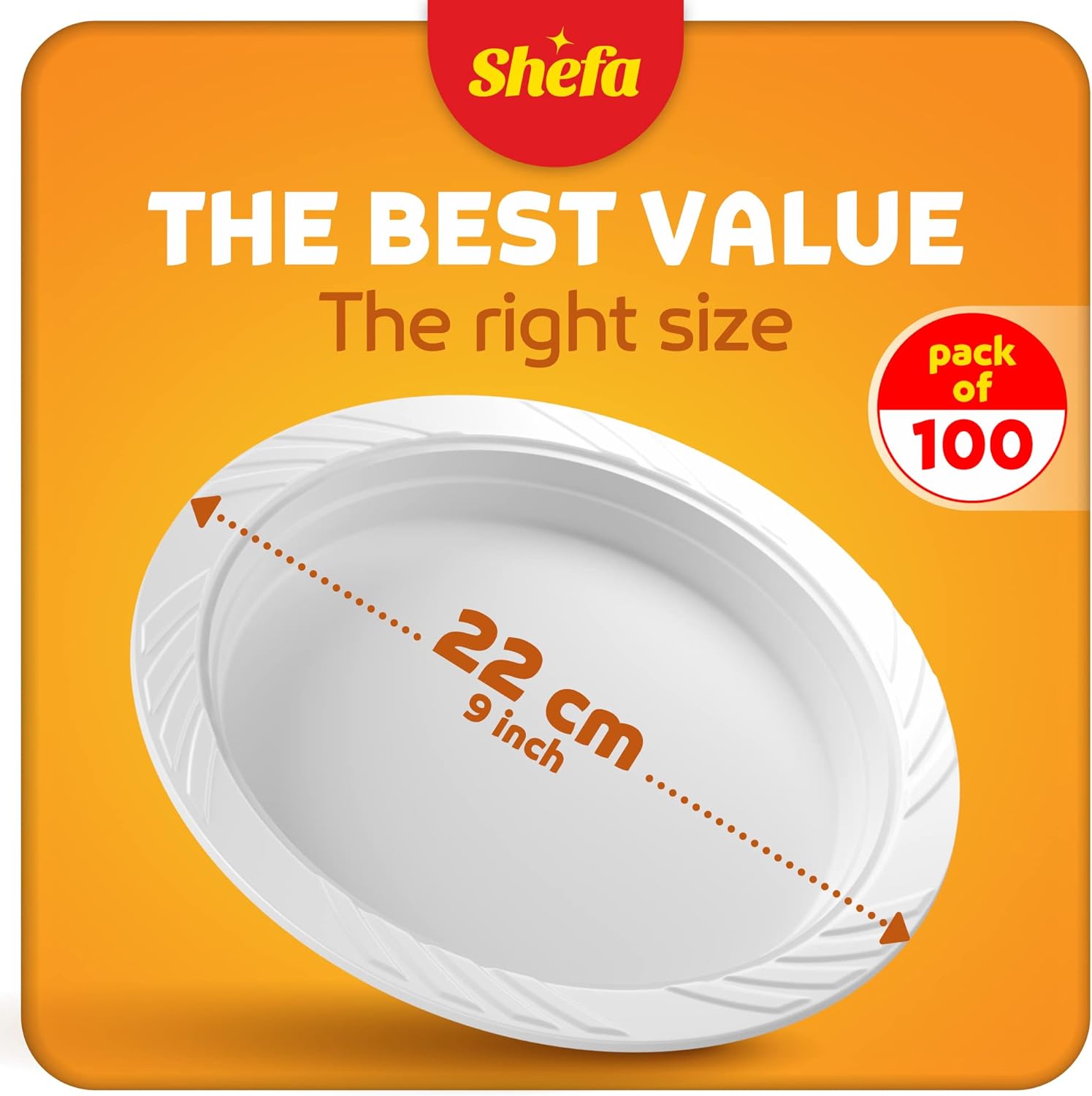 Plastic White 9inch PLATES (100 packs)